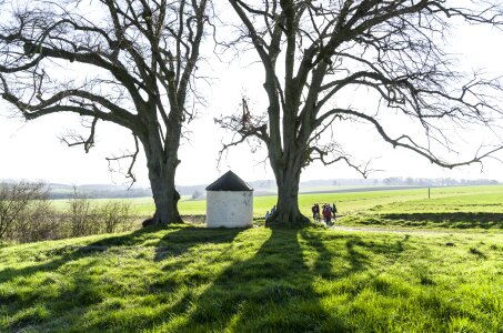 Chapel condroz trees photo