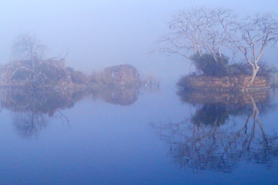 Water swamp landscape