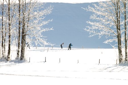 Cross-country skiing snow landscape
