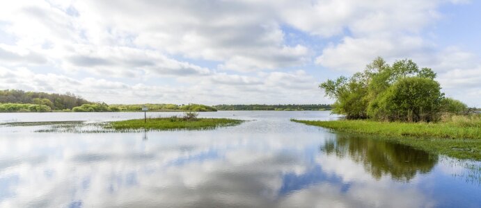 Swamp loire atlantique panorama
