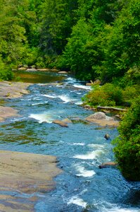 Dupont dupont forest waterfall photo