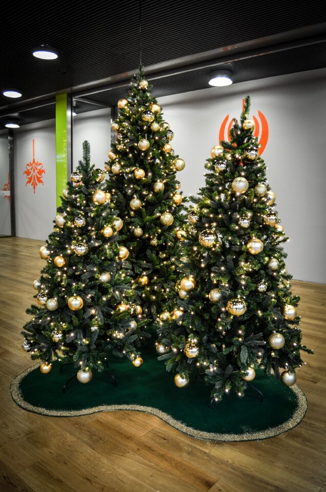 Holidays christmas