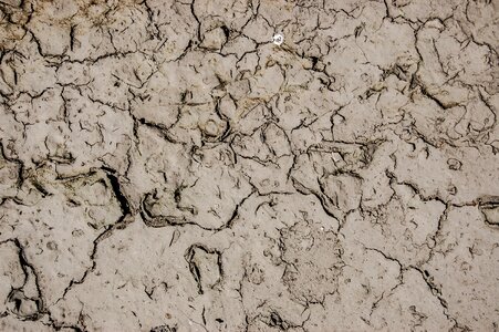Dry cracked drought