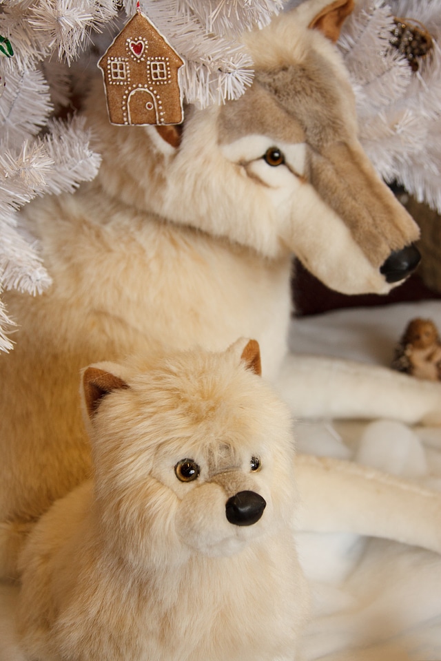 Beautiful christmas cute