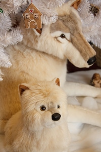 Beautiful christmas cute