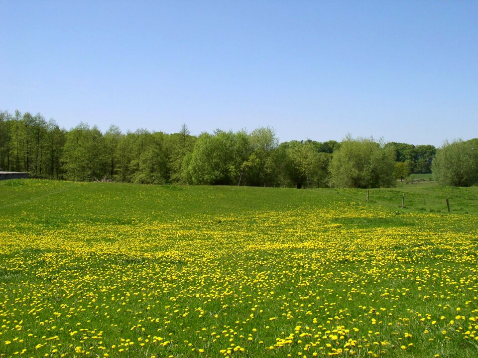 Nature sky rest