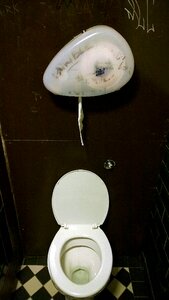 Process toilet paper hygiene photo
