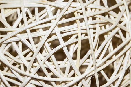Model tangle