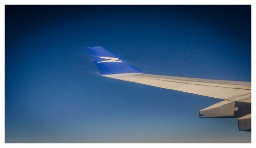 Sky blue fly