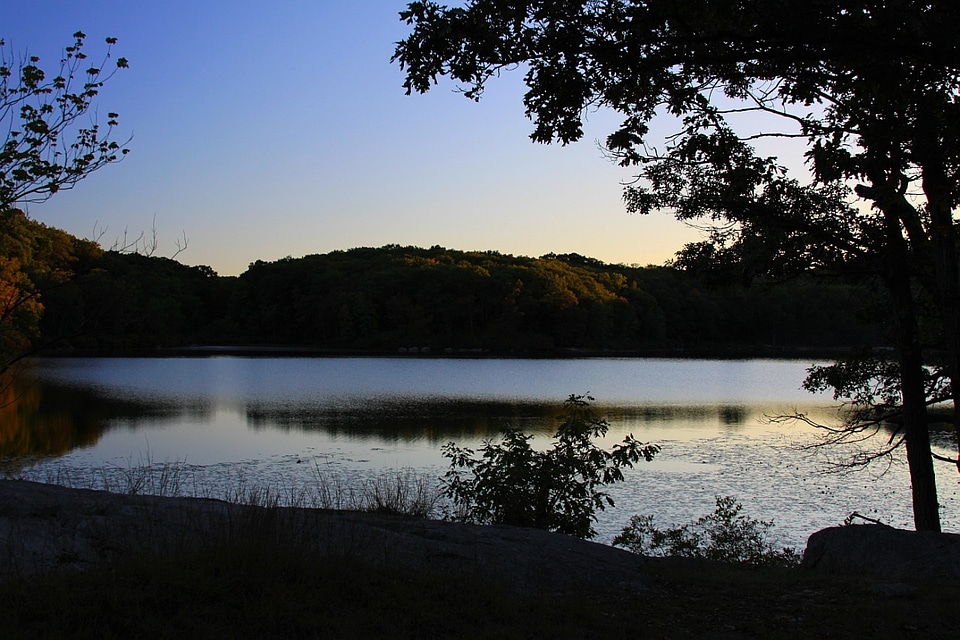Lake woods forest