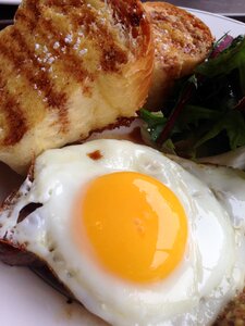 Brunch morning egg