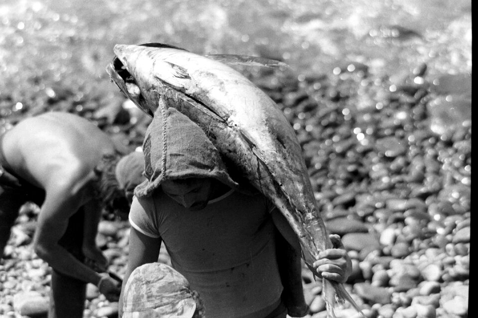 Madeira fishing food