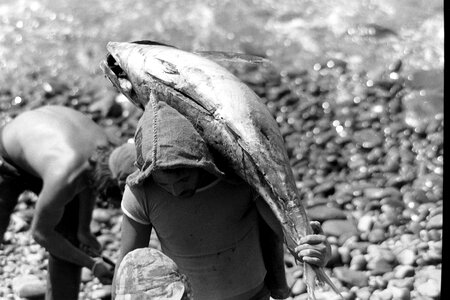 Madeira fishing food