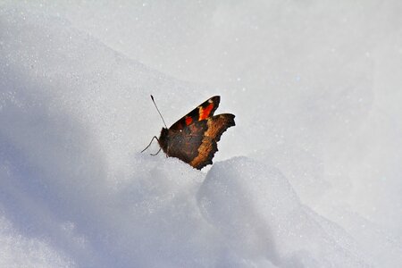 Nature cold freezing
