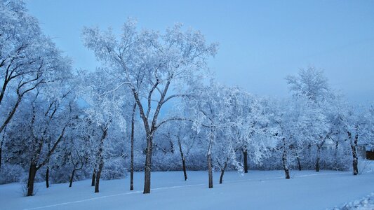 Winter light beautiful