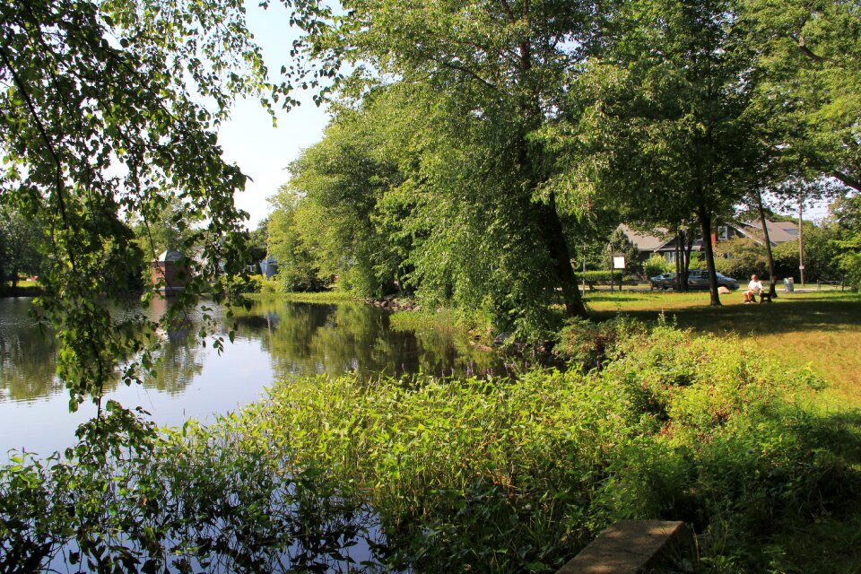Summer haverhill nature