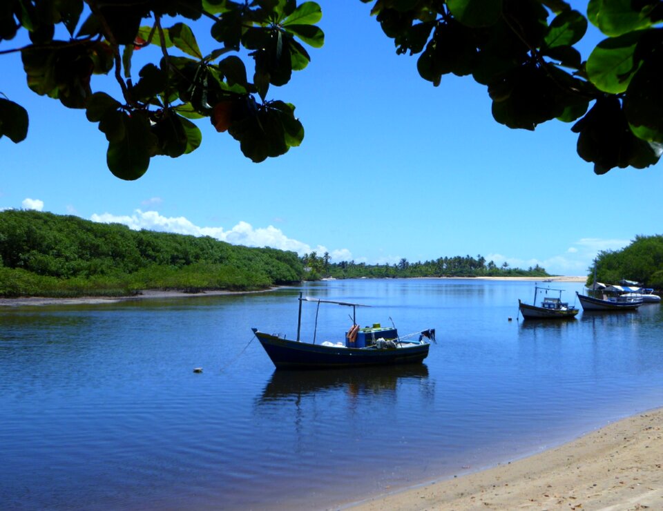 Rio boats nature