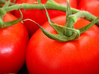 Plant red fruit