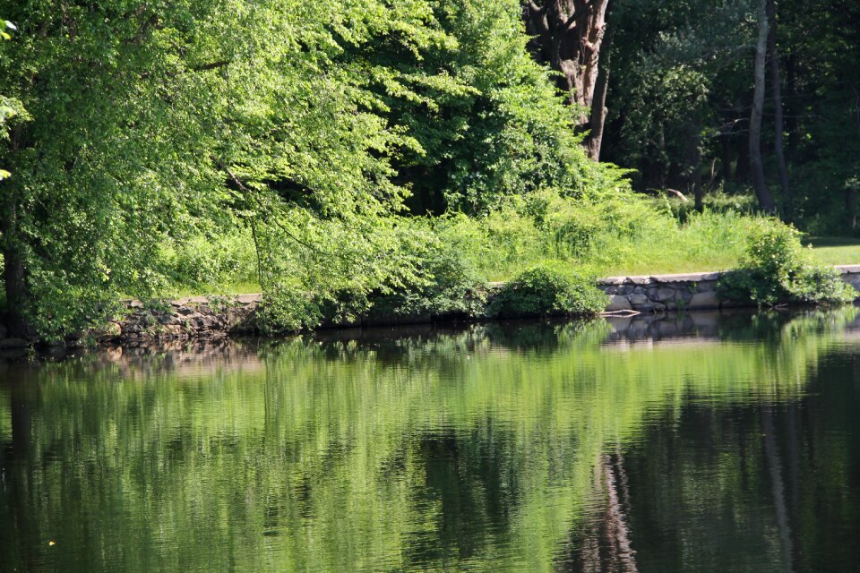 Nature water summer