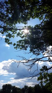 Sun mood summer
