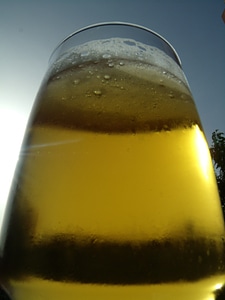 Heaven beer barley