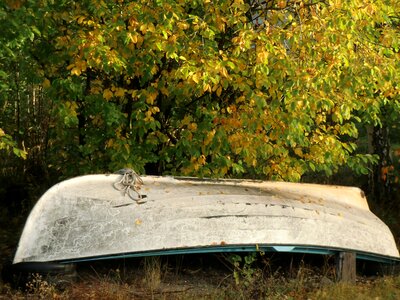 Rowboat boat autumn