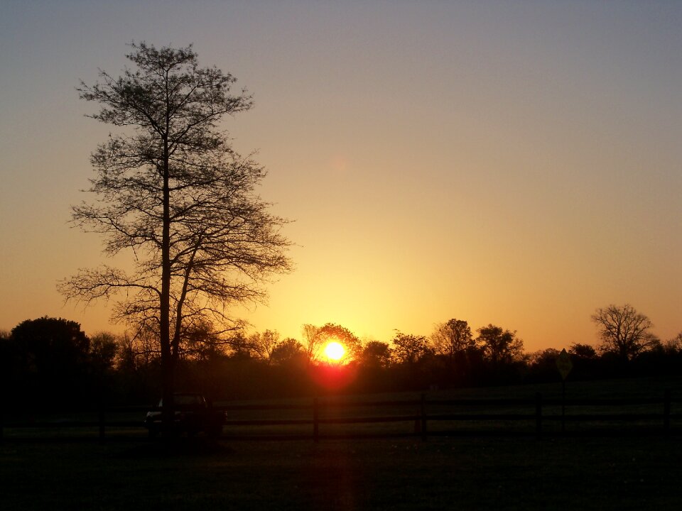 Silhouette orange nature