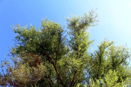 Autumn farbenpracht sky
