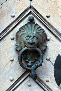 Lion house entrance decorative