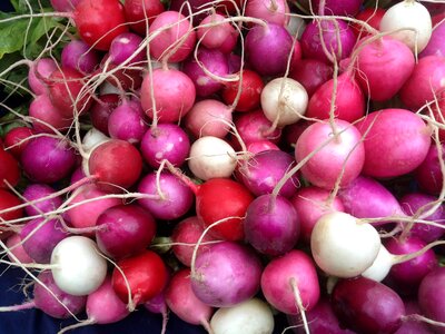 Bunch market organic