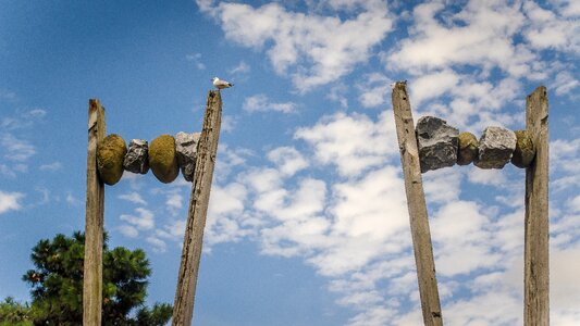 Wood stone culture