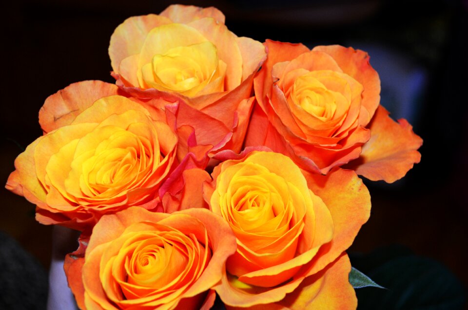 Roses bouquet yellow flowers