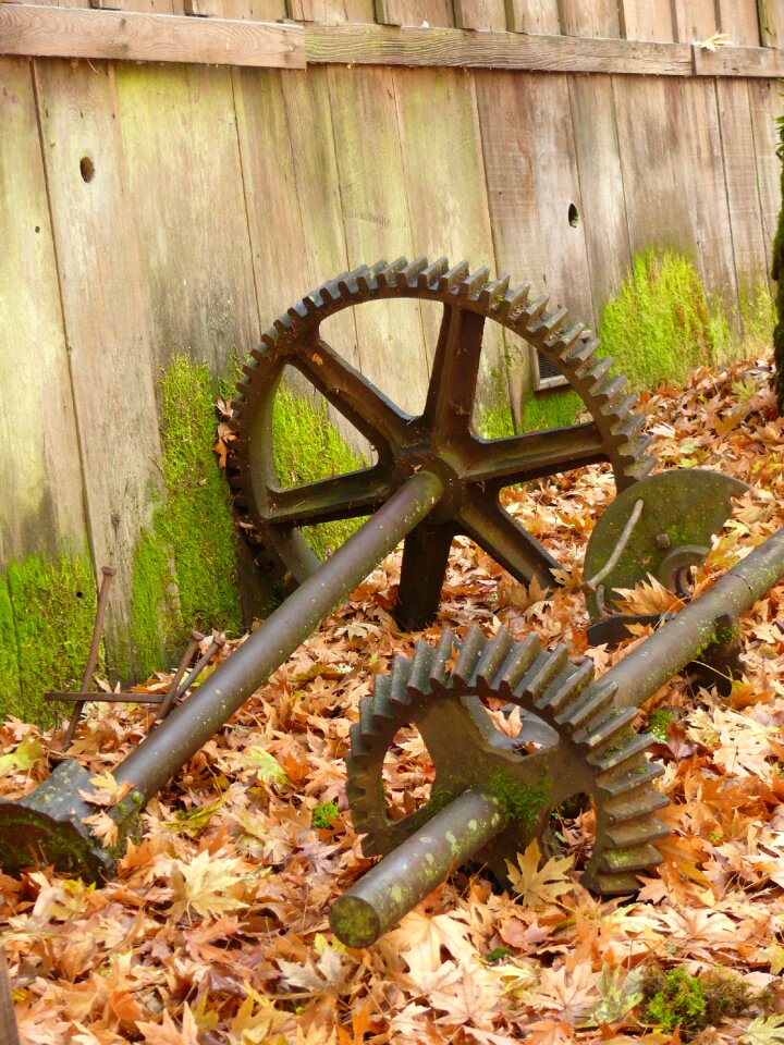 Foliage weathered grist mill