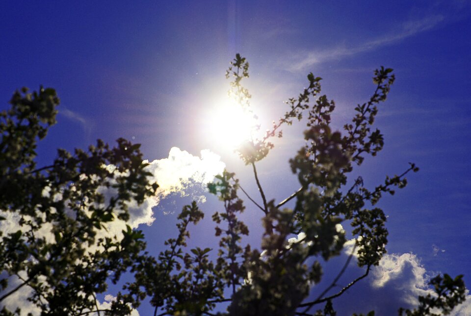 Backlighting nature weather