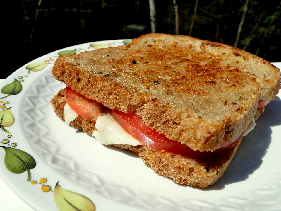 Meal toasted plate