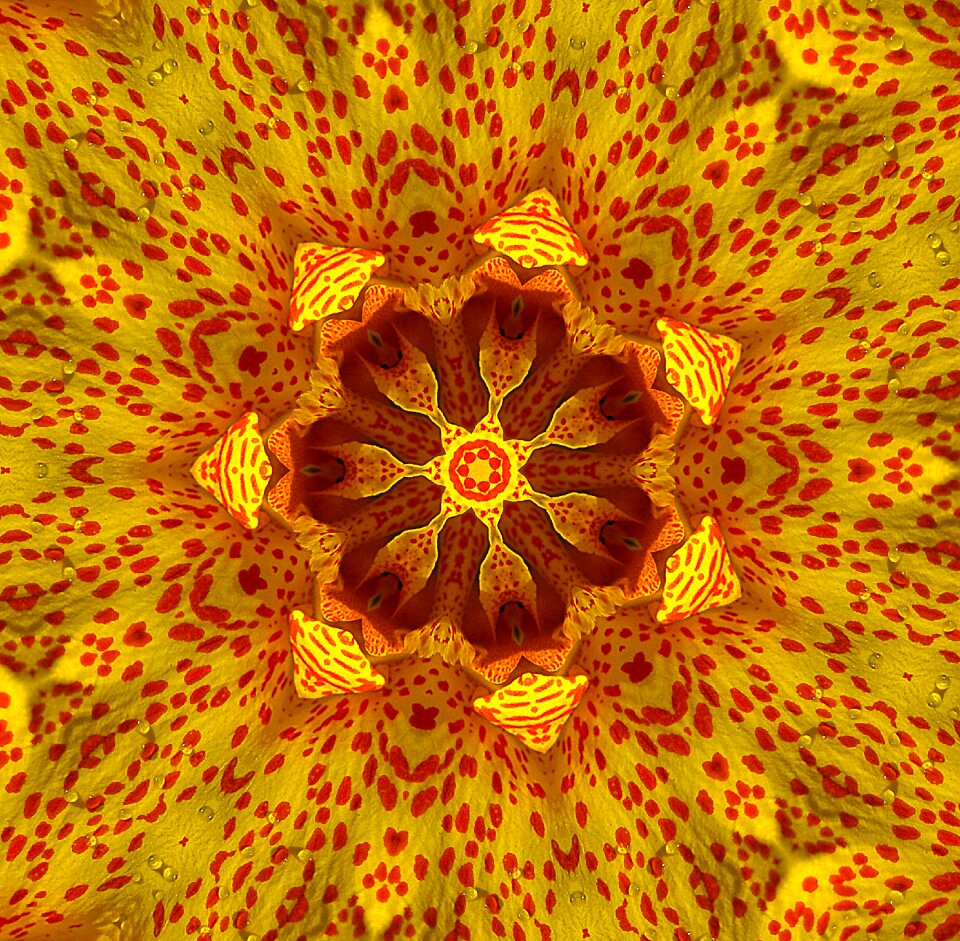 Texture form yellow