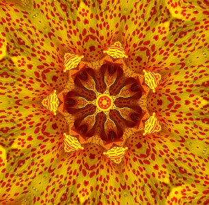 Texture form yellow