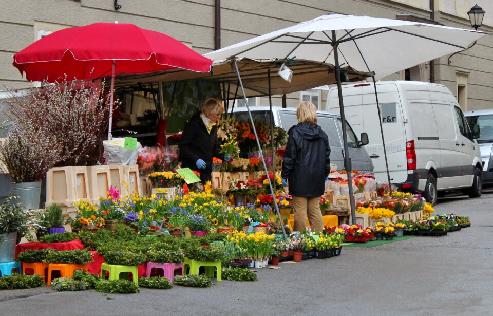 Market umbrellas sale sales stand