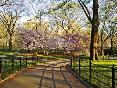 City outdoors nyc