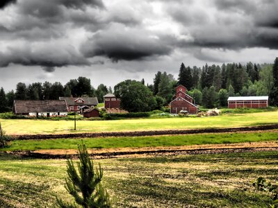 Field thunder rain