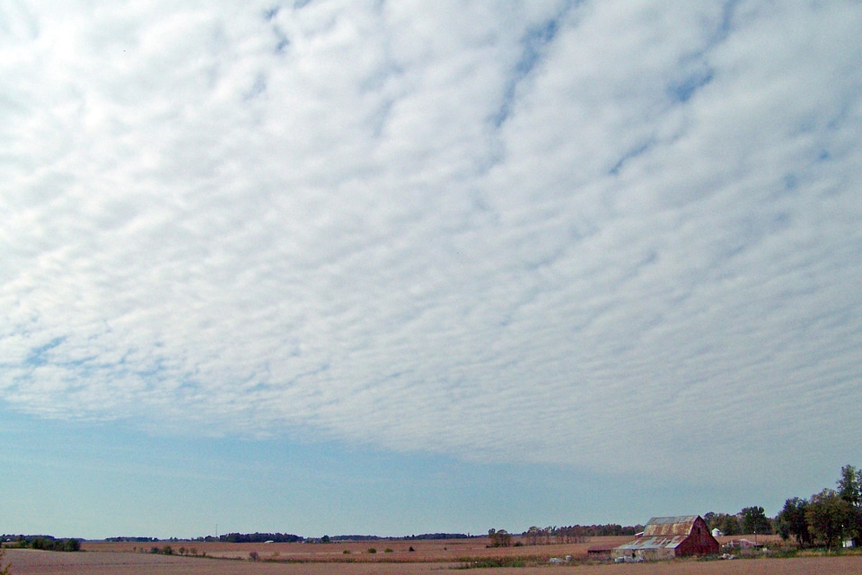 Fall field sky