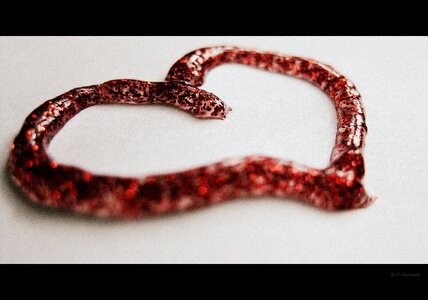Romance valentine romantic