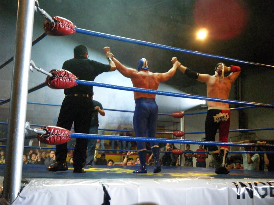 Mexico blue demon passion