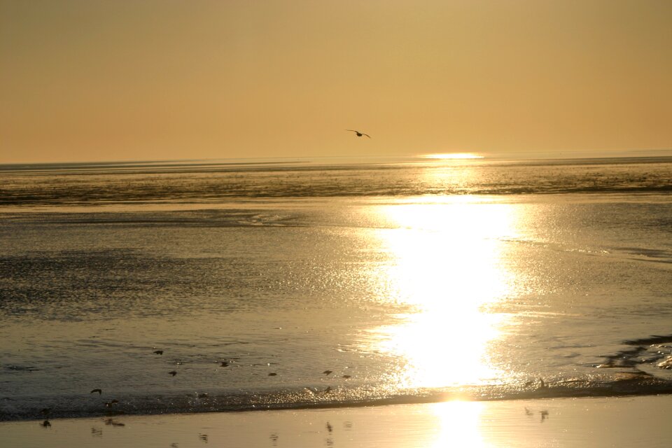 Beach island sea