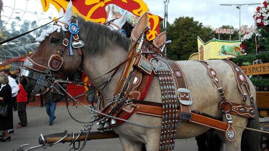 Draft horse workhorse team