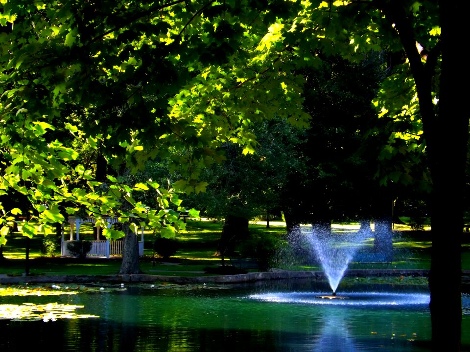 Landscape summer beautiful