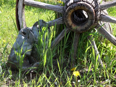 Spokes wooden wheel boots photo