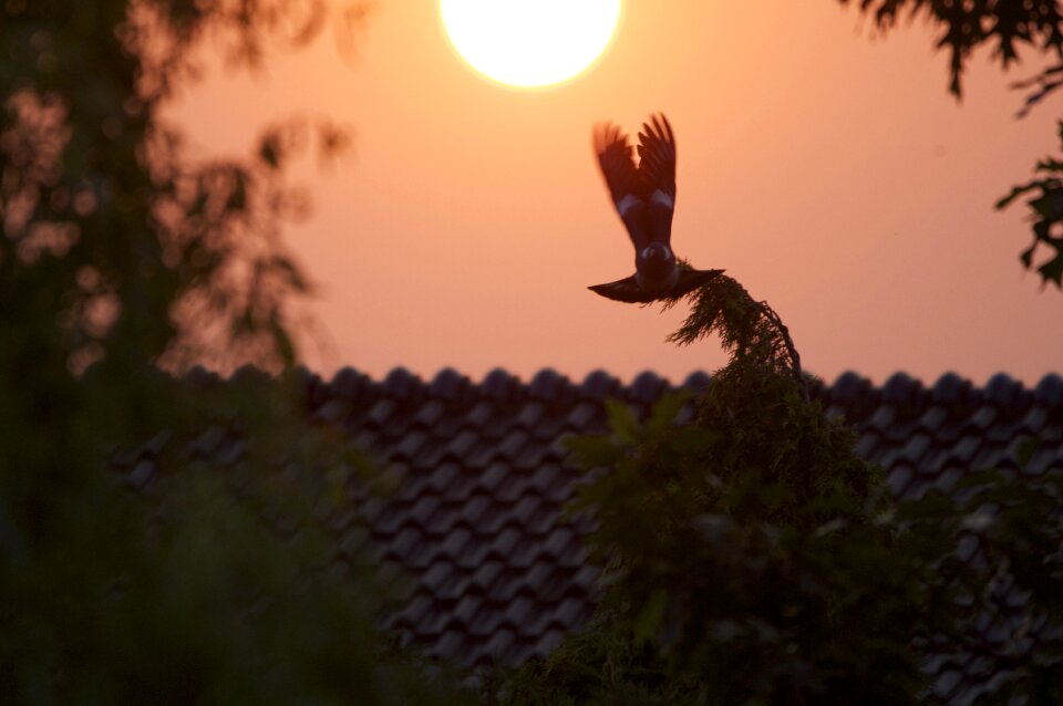Rest sun afterglow
