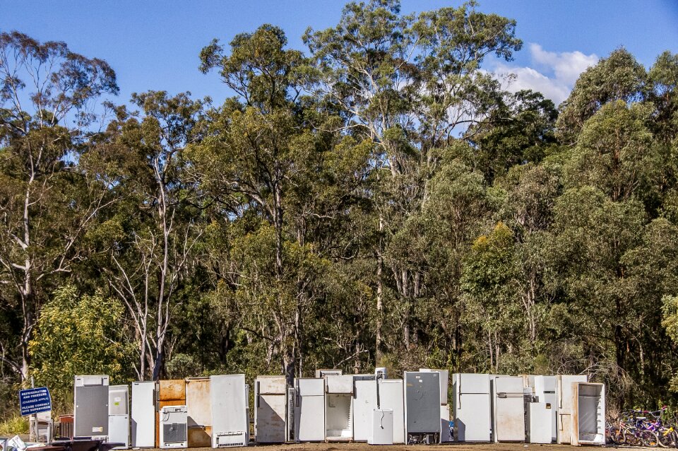 Trees refrigerators old