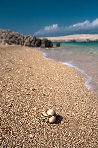 Summer beach shoreline